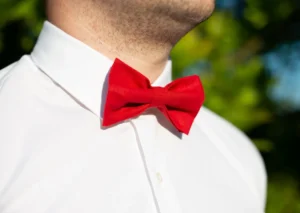 Nœud Papillon Rouge