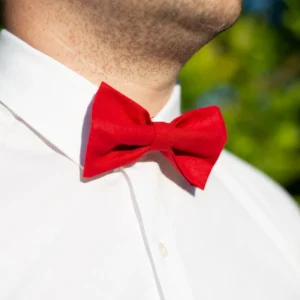 Nœud Papillon Rouge