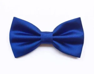 Nœud Papillon Bleu
