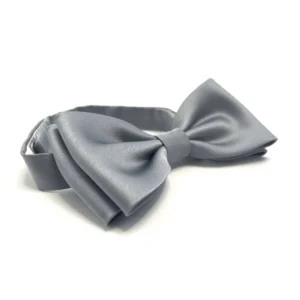 Nœud Papillon Gris