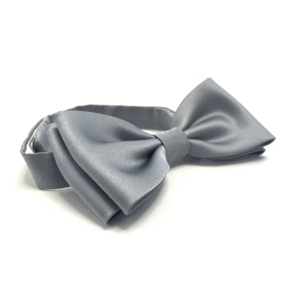 Nœud Papillon Gris